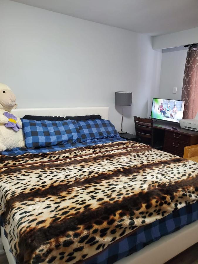 Maxwell Esabu Appartement Toronto Buitenkant foto